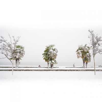 @westendbia: “It’s a winter wonderland out there! #WestEndYVR #SnowDay”