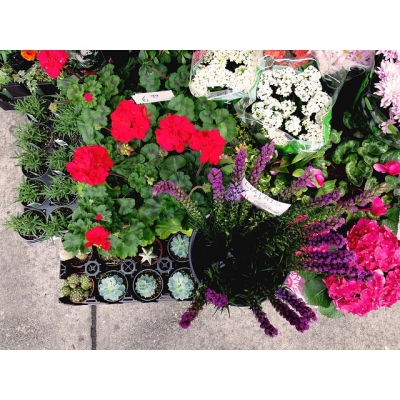 @westendbia: “April showers bring…  #weamaze”