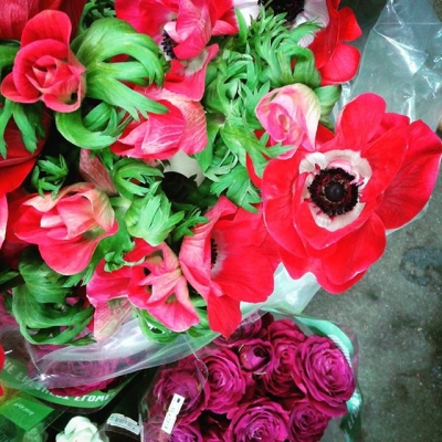 @westendbia: “Found these stunning red Anemones at the Windsor Market
