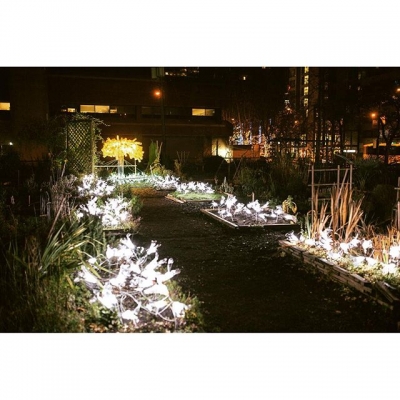 @westendbia: “Detail shot of @EmergeIESBC’s #LightGivesLife at the Davie Community