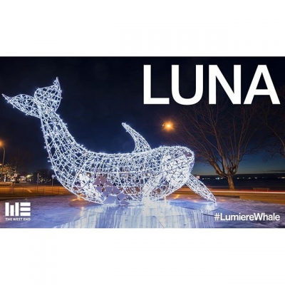 @westendbia: “Say hello to Luna the #LumiereWhale! Check out our