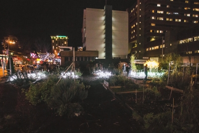 Lumière 2015: “Light Gives Life” at the Davie Community Garden
