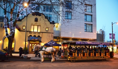 Alexandra Park by Horse and Carriage with Hollyburn Properties