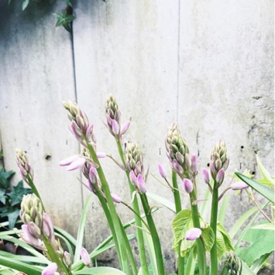 @westendbia: “This perfect spring day has us wishing we had