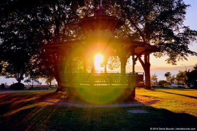 Summer Sounds Community Picnic: Reviving a Neighbourhood Tradition